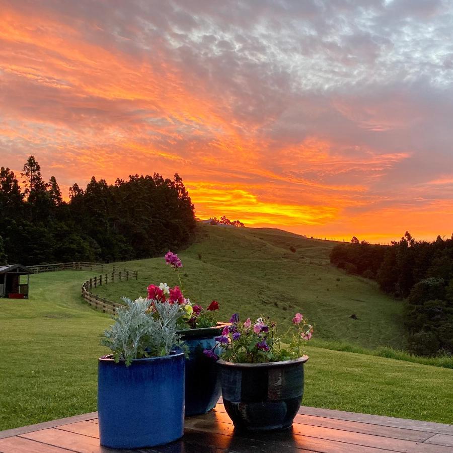 Kauri Glen Bnb Te Arai エクステリア 写真
