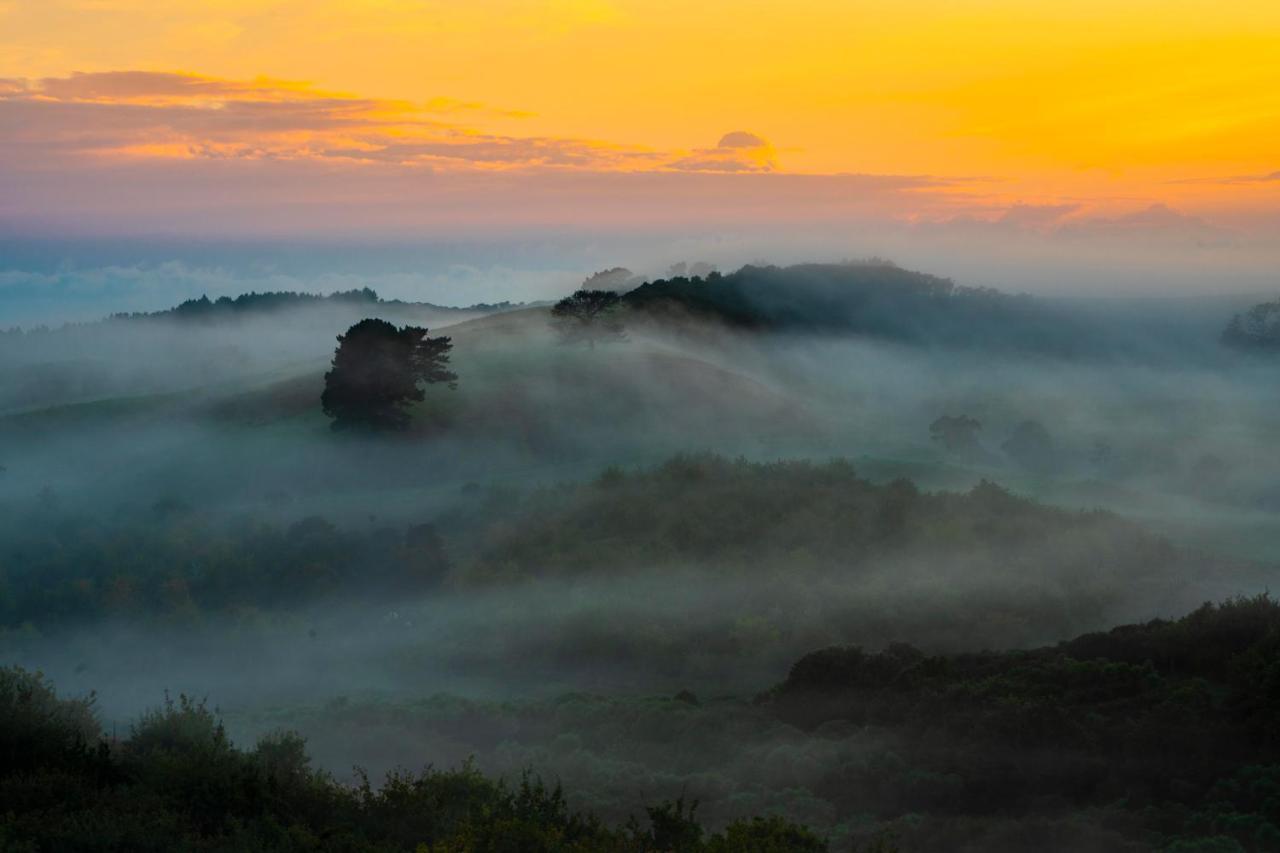 Kauri Glen Bnb Te Arai エクステリア 写真