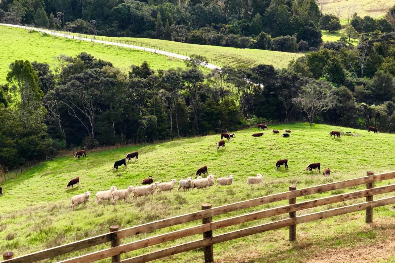 Kauri Glen Bnb Te Arai エクステリア 写真