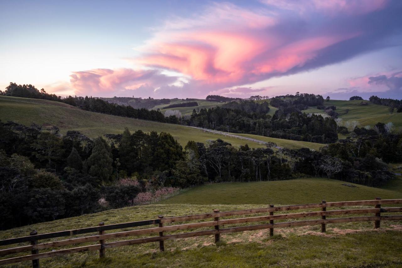 Kauri Glen Bnb Te Arai エクステリア 写真